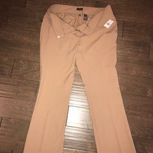 The Limited- Size 12- New With Tags